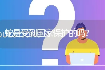 蛇是受到国家保护的吗?