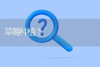 生产杂粮面条的设备是什么,那里有卖?