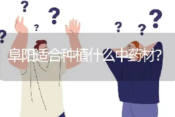 阜阳适合种植什么中药材?