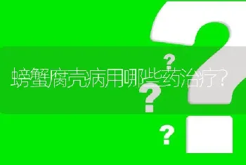 螃蟹腐壳病用哪些药治疗?