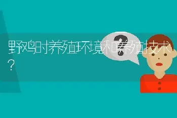 野鸡时养殖环境和养殖技术?