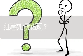 红薯如何储藏?