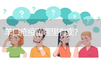 羊口疮疫苗哪里有卖?