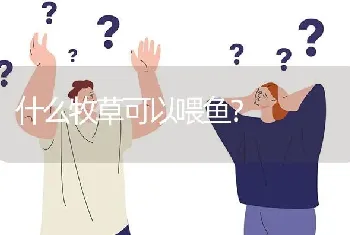 什么牧草可以喂鱼?