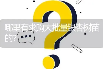 哪里有求购大批量银杏树苗的?