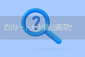 咨询一下无土栽培蔬菜?