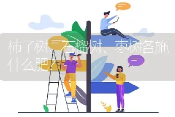 柿子树、石榴树、枣树各施什么肥?