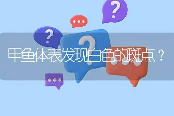 甲鱼体表发现白色的斑点?