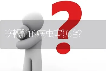 晚糯稻的病虫害防治?