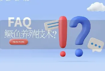 鳜鱼养殖技术?