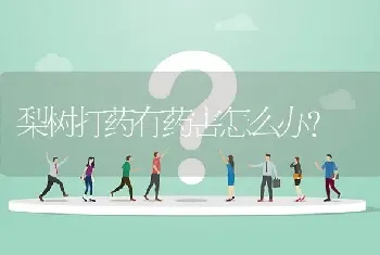 梨树打药有药害怎么办?