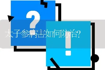 太子参病害如何防治?