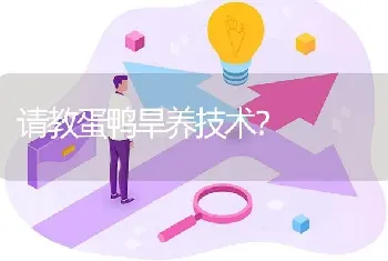 请教蛋鸭旱养技术?