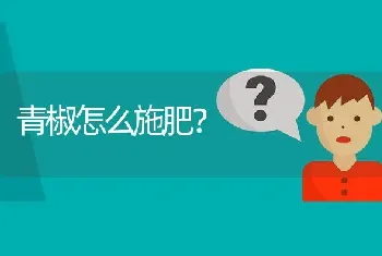 青椒怎么施肥?