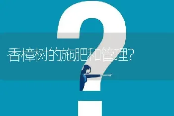 香樟树的施肥和管理?