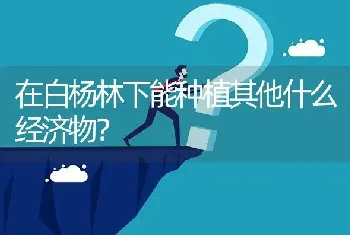 在白杨林下能种植其他什么经济物?