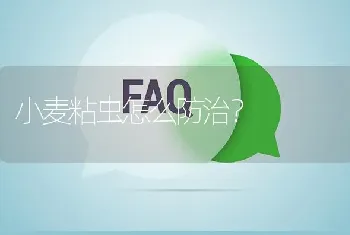 小麦粘虫怎么防治?