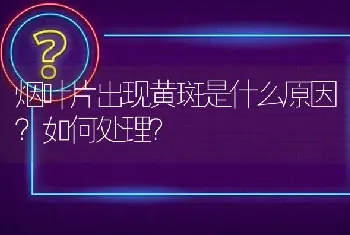 烟叶片出现黄斑是什么原因?如何处理?