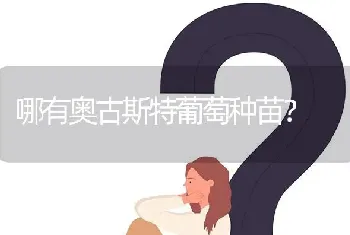 哪有奥古斯特葡萄种苗?