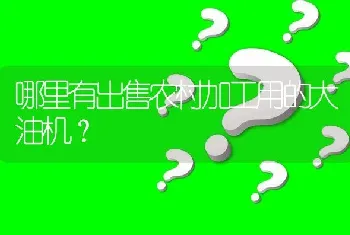 哪里有出售农村加工用的大油机?