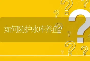 如何防护水库养鱼?