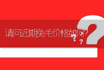 请问近期兔毛价格如何?