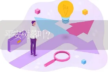 平安树落叶?