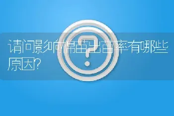 请问影响棉苗出苗率有哪些原因?