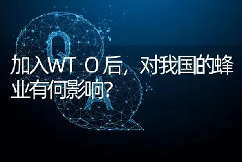 加入WTO后,对我国的蜂业有何影响?