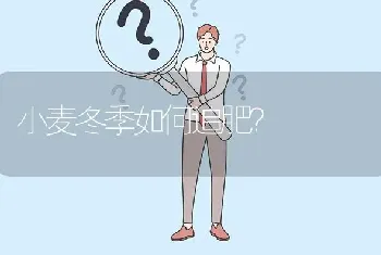 小麦冬季如何追肥?