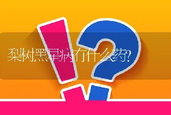 梨树黑星病有什么药?