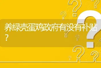 养绿壳蛋鸡政府有没有补贴?