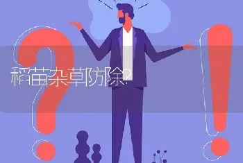 稻苗杂草防除?