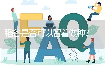 稻谷是否可以留着做种?