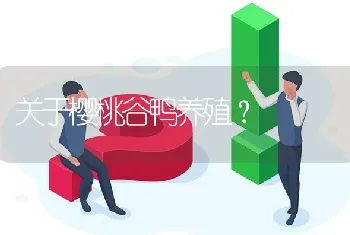 关于樱桃谷鸭养殖?