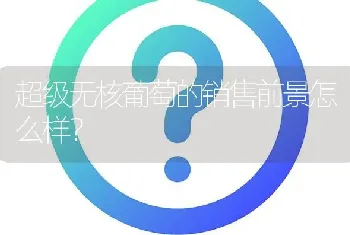 超级无核葡萄的销售前景怎么样?