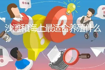 沙滩和海上最适合养殖什么?