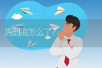 鸡到底怎么了?