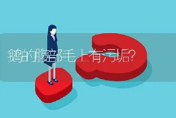 鹅的腹部毛上有污垢?