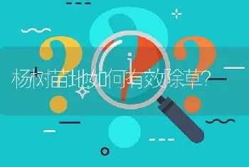 合肥市何处销售小型榨油机?