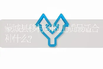 蒙城县移村乡的土质最适合种什么?