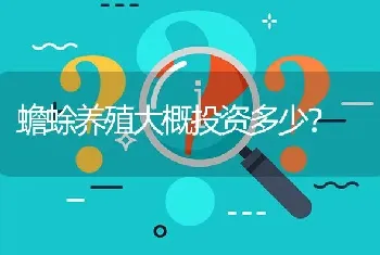 蟾蜍养殖大概投资多少?