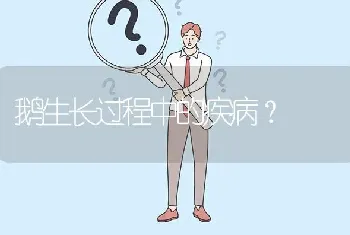 鹅生长过程中的疾病?