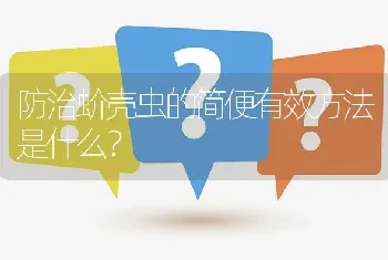 防治蚧壳虫的简便有效方法是什么?