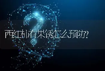 西红柿有果锈怎么预防?