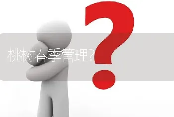 桃树春季管理?