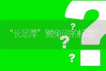 “长足厚”獭兔皮的标准?