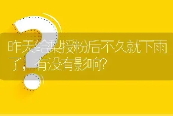 昨天给梨授粉后不久就下雨了,有没有影响?