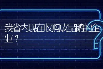 我省内现在收购成品鹅的企业?