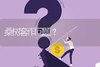 桑树套作问题?